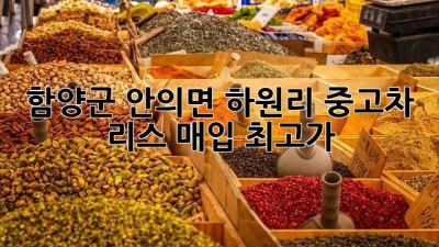 함양군 안의면 하원리 중고차 리스 매입 최고가