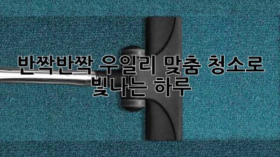 ✨ 반짝반짝 우일리! 맞춤 청소로 빛나는 하루 ✨