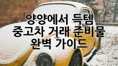양양에서 득템?! 😎 중고차 거래 준비물 완벽 가이드! 🚗💨